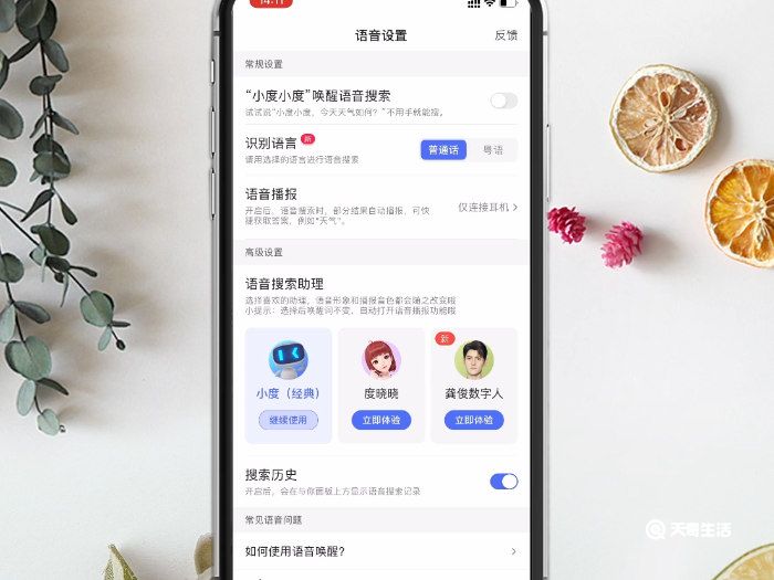 系统版本