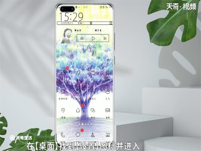 演示机型